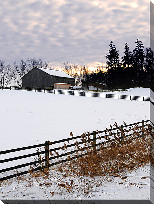 Winter Farm 4